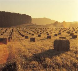 KLEINGRUPPENREISEN - 5 Tage Rotes Zentrum